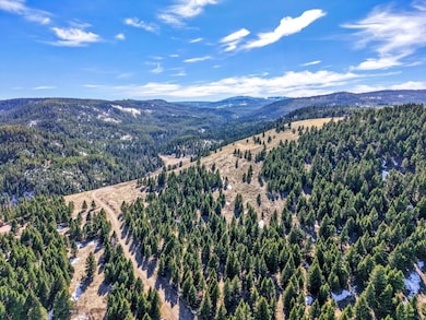 Lot 19 S Sun Rd W, Cameron, MT 59720 - photo 4