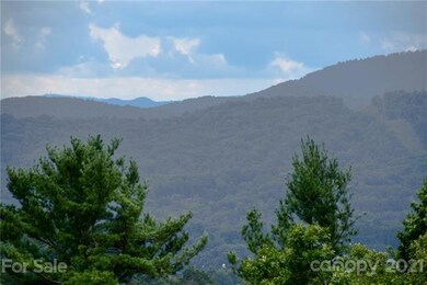 99999 Spring Creek Trail unit 10, Asheville, NC 28806 - photo 3
