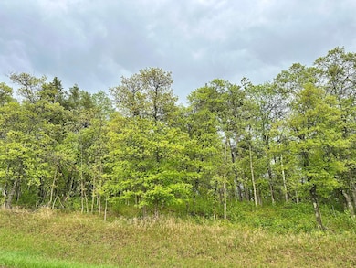 TBD Lot 1 Fairway Trail, Henrietta Township, MN 56470 - photo 3