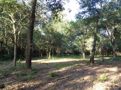 31032 Hegar Rd, Hockley, TX 77447 - photo 7