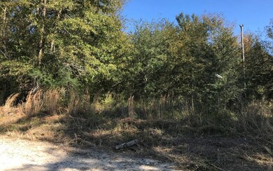 0 Mixson Rd unit 103008, Lake City, FL 32024 - photo 2