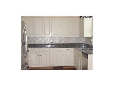 Opulent Granite Countertops accent the abundance o