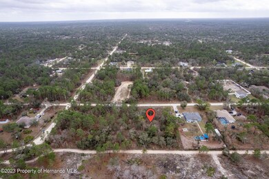 4-web-or-mls-DJI_0470-HDR copy