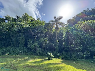 1 Bo Dominguito Carr 651, Arecibo, PR 00612 - photo 3