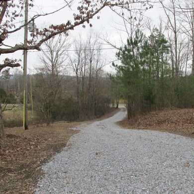 447 Mcentire Rd, Chatsworth, GA 30705 - photo 3
