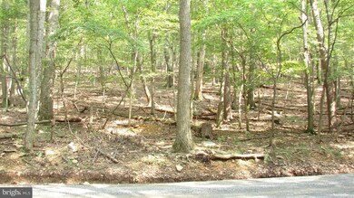 0 Tuscarora Trail unit 1000321760, Berkeley Springs, WV 25411 - photo 4