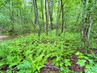 2243 Damascus Rd, Ball Ground, GA 30107 - photo 3