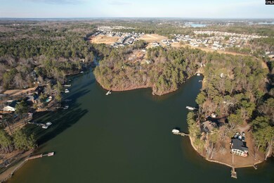 1533 Saugus Ct, Chapin, SC 29036 - photo 5