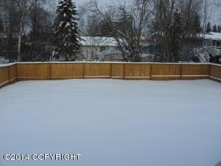 Back Yard 3