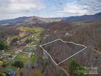 99999 Molasses Way unit 18, Waynesville, NC 28785 - photo 6