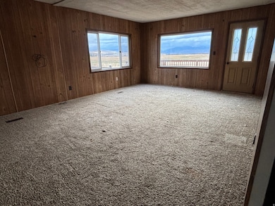 Carpeted spare room with wood walls