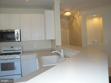 4310 Cannon Ridge Ct unit Q, Fairfax, VA 22033 - photo 4
