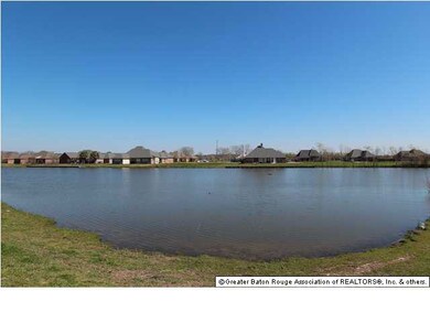 The Pond