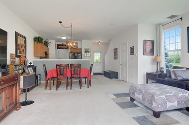 893 Flagstone Dr, Dyer, IN 46311 - photo 4