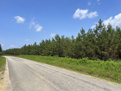 1 Rockhouse Rd, Flatwoods, TN 37096 - photo 4