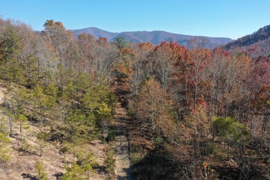 DJI_0941
