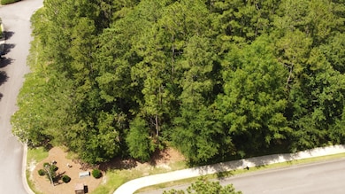 102 White Birch Ct, Aiken, SC 29803 - photo 7