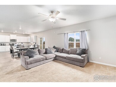 971 Ouzel Falls Rd, Severance, CO 80550 - photo 4