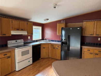 461 Lange Way, Rhome, TX 76078 - photo 4