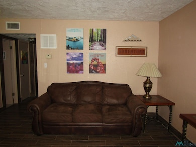 904 S 10th St, Artesia, NM 88210 - photo 3