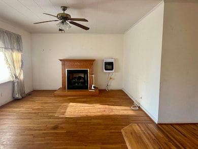 250 S 12th St, Mammoth Spring, AR 72554 - photo 5