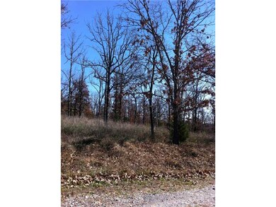 0 S Hwy 170 1a unit 668159, West Fork, AR 72774 - photo 6