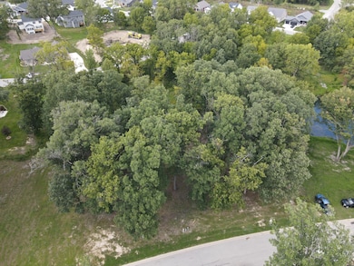 735 Druim Tr, Crown Point, IN 46307 - photo 7