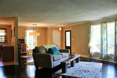 Open Living Room w/ Lots of Daylight, Refinished Original Hardwood Flooring, Paint, Light Fixtures, Front Door & More