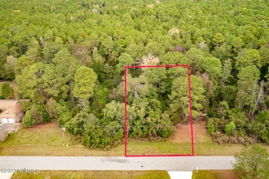 2000 Caracara, New Bern, NC 28560 - photo 3