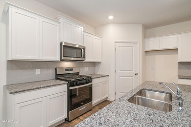 320 Hayley Marie Ln, Knoxville, TN 37920 - photo 7