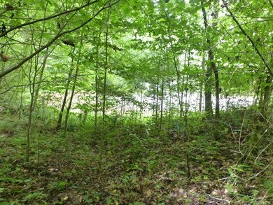 Looking from the lot out to the cul de sac.