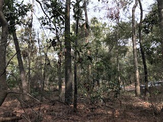 LOT 18 282nd Terrace, Branford, FL 32008 - photo 7