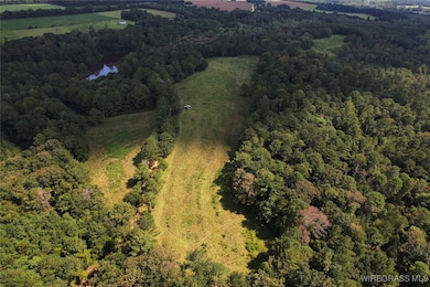 2217 Mcleod Rd, Goshen, AL 36035 - photo 5