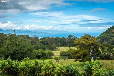 330 Waiahiwi Rd, Makawao, HI 96768 - photo 2