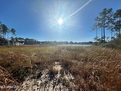 10898 Georgian Way, Gulfport, MS 39503 - photo 3