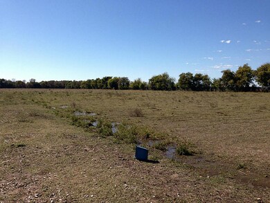 0 Padon Rd unit 17202342, Needville, TX - photo 3