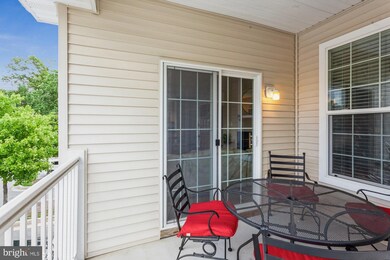 9619 Devedente Dr unit 206, Owings Mills, MD 21117 - photo 3