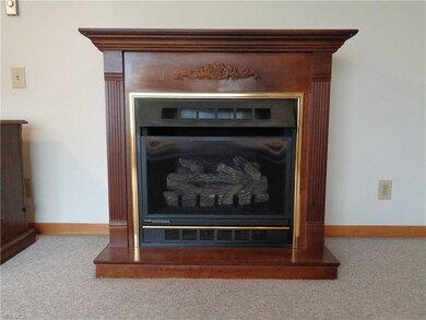 Gas fireplace.