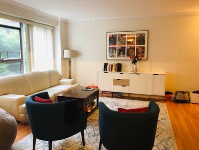 Hammond Park Condominiums unit 202, Chestnut Hill, MA 02467 - photo 5