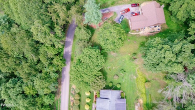 0 Laurel St, Weber City, VA 24290 - photo 4