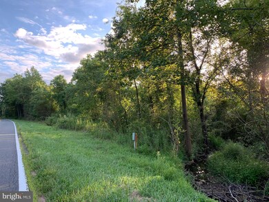 0 FT Valley Rd. Francis Thorton Valley Rd, Sperryville, VA - photo 2
