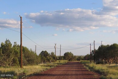 2470 N Luana unit 809, Ash Fork, AZ 86320 - photo 5