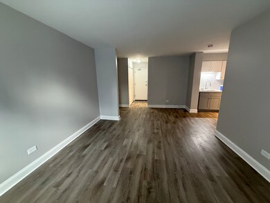 744 W Gordon Terrace unit 101, Chicago, IL 60613 - photo 7