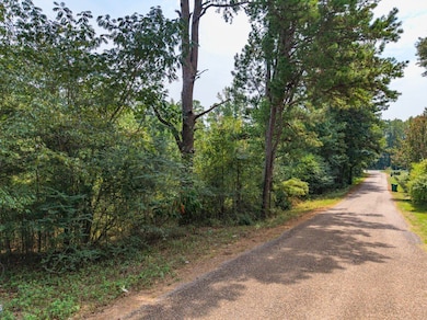 0 Chicot Rd unit 25675599, Little Rock, AR 72103 - photo 4