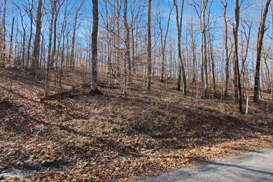 2 Tn-147, Stewart, TN 37175 - photo 6