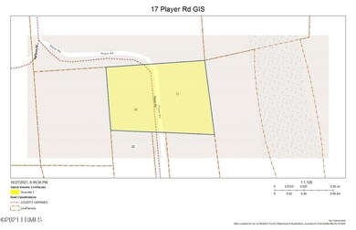 17 Player Rd - GIS