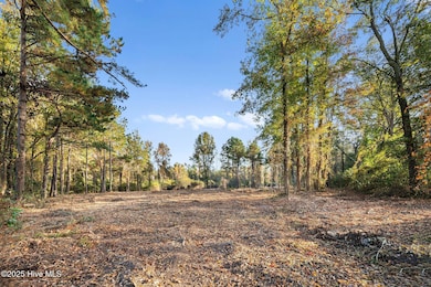 Lot D US Highway 117 Bypass S, Burgaw, NC 28425 - photo 2