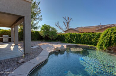 817 E Deer Spring Canyon Place, Sahuarita, AZ 85629 - photo 5