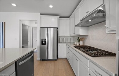 298 Silent Lake Dr, Lehigh Acres, FL 33936 - photo 5