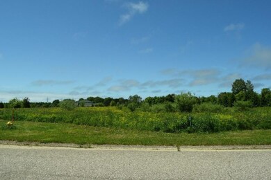 Lot 5